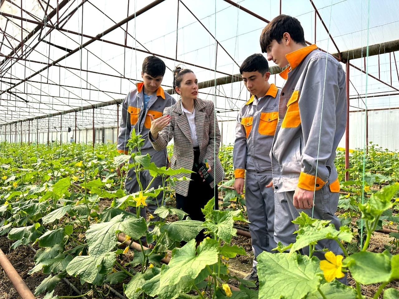 “Peşə təmayüllü siniflər” fəaliyyətə başlayıb
